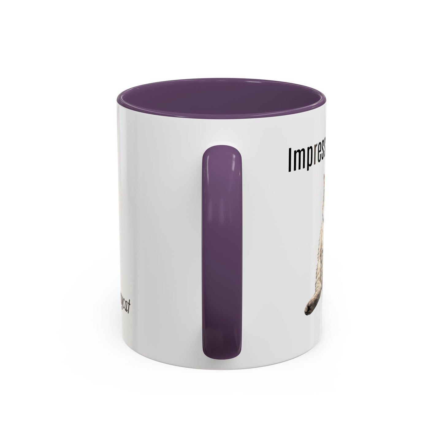 Cat Lover Accent Coffee Mug (11/15oz) — Personalized @chadmycat Design