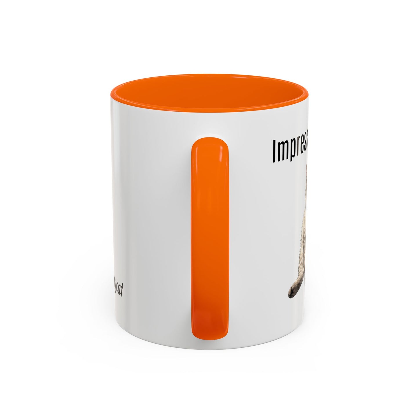 Cat Lover Accent Coffee Mug (11/15oz) — Personalized @chadmycat Design