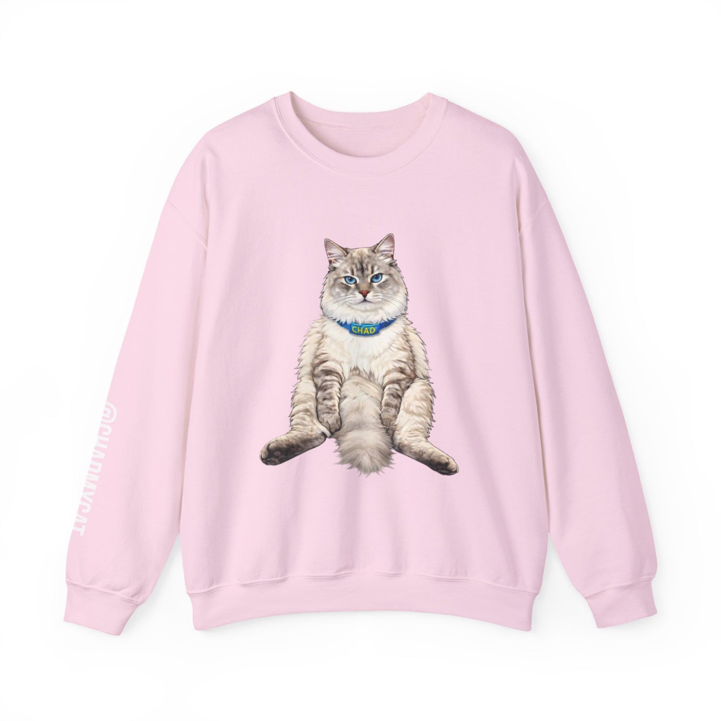 Chonky Sitting Cat Crewneck | Cute Cat Illustration Sweatshirt