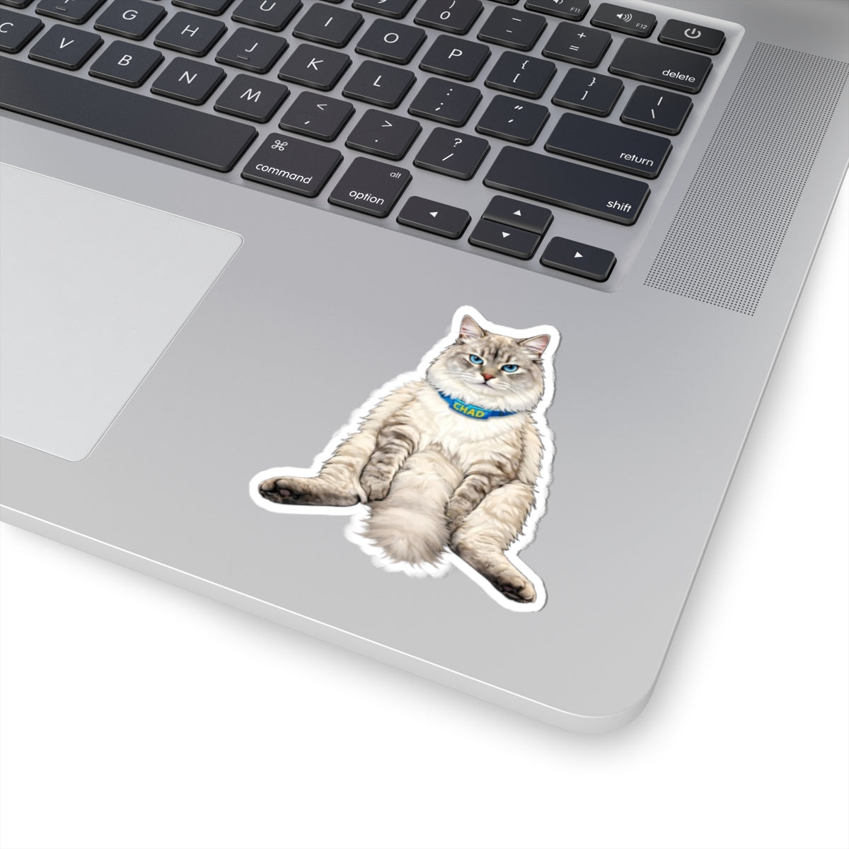 Chill Cat 'Chad' Sticker — Cute Ragdoll Laptop Kiss-Cut Sticker