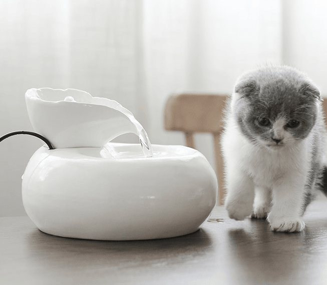 Purrfectflow Automatic Cat Water Fountain White Pink -FREE SHIPPING-
