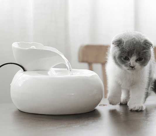 Purrfectflow Automatic Cat Water Fountain White Pink -FREE SHIPPING-
