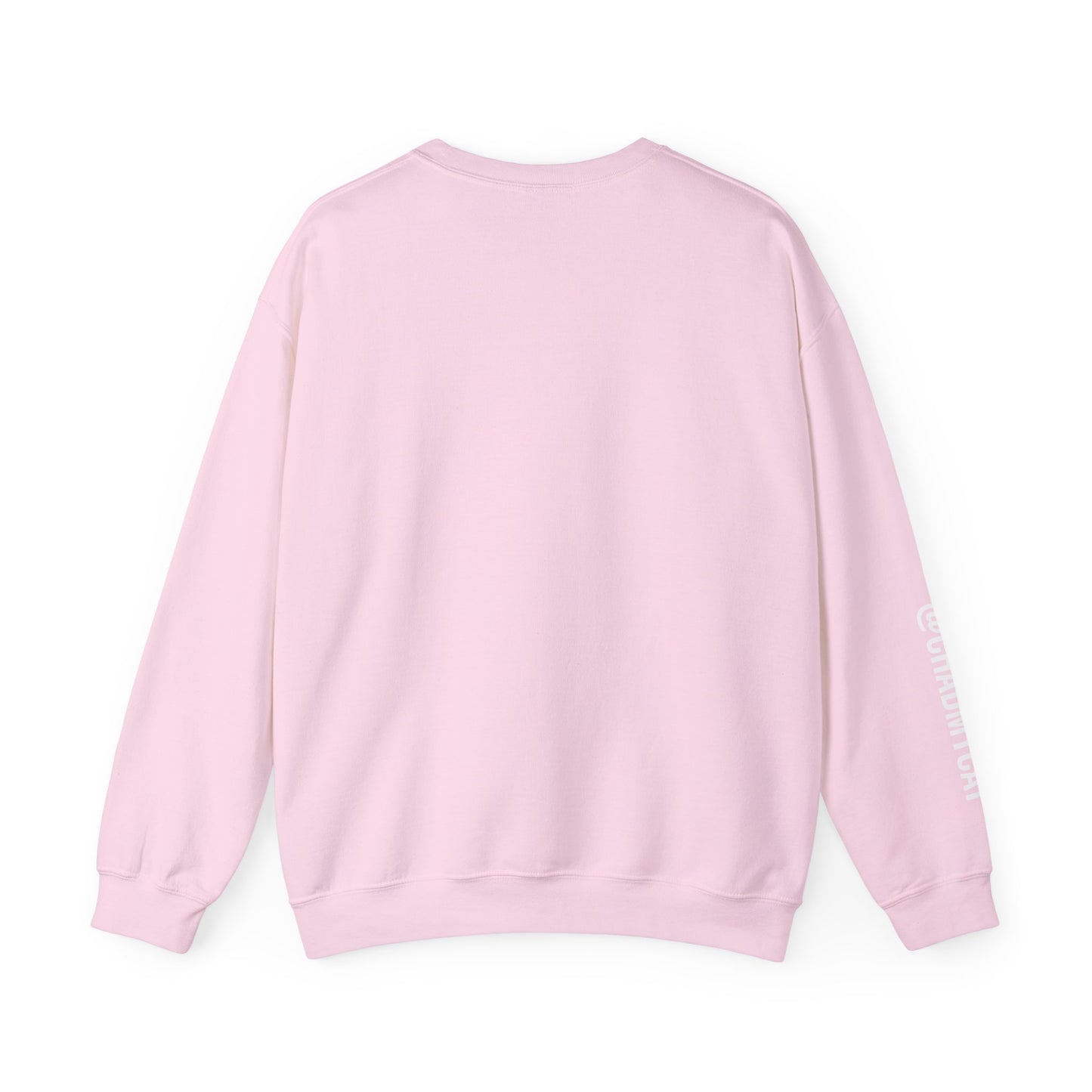 Chonky Sitting Cat Crewneck | Cute Cat Illustration Sweatshirt