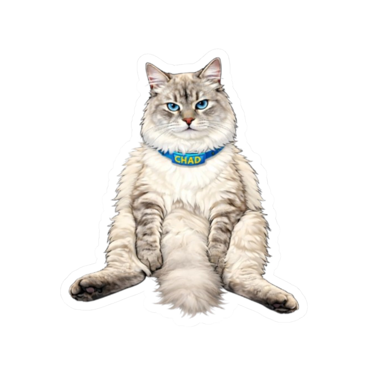 Chill Cat 'Chad' Sticker — Cute Ragdoll Laptop Kiss-Cut Sticker