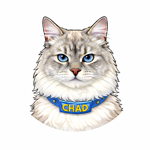 chadmycat