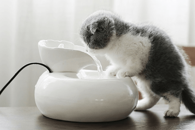 Purrfectflow Automatic Cat Water Fountain White Pink -FREE SHIPPING-