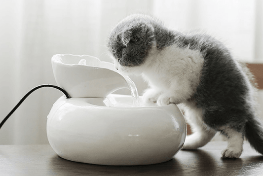 Purrfectflow Automatic Cat Water Fountain White Pink -FREE SHIPPING-