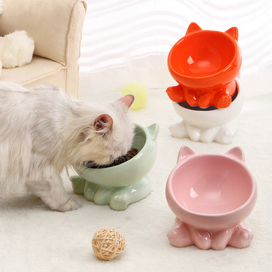 Ceramic Cat Bowl Set of 2  Cat Neck Guard -FREE SHIPPING-