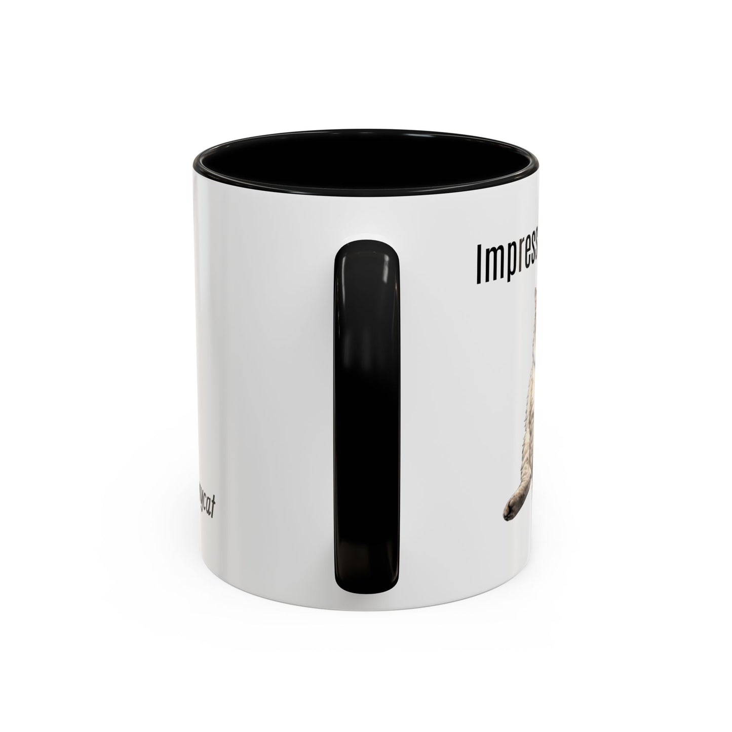 Cat Lover Accent Coffee Mug (11/15oz) — Personalized @chadmycat Design