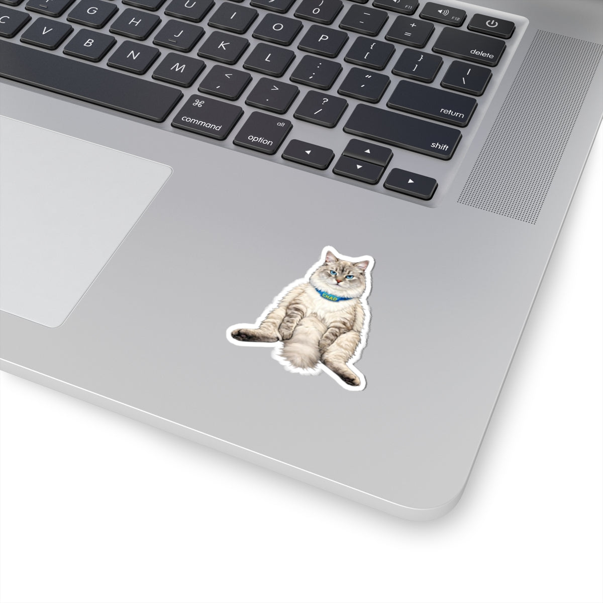 Chill Cat 'Chad' Sticker — Cute Ragdoll Laptop Kiss-Cut Sticker