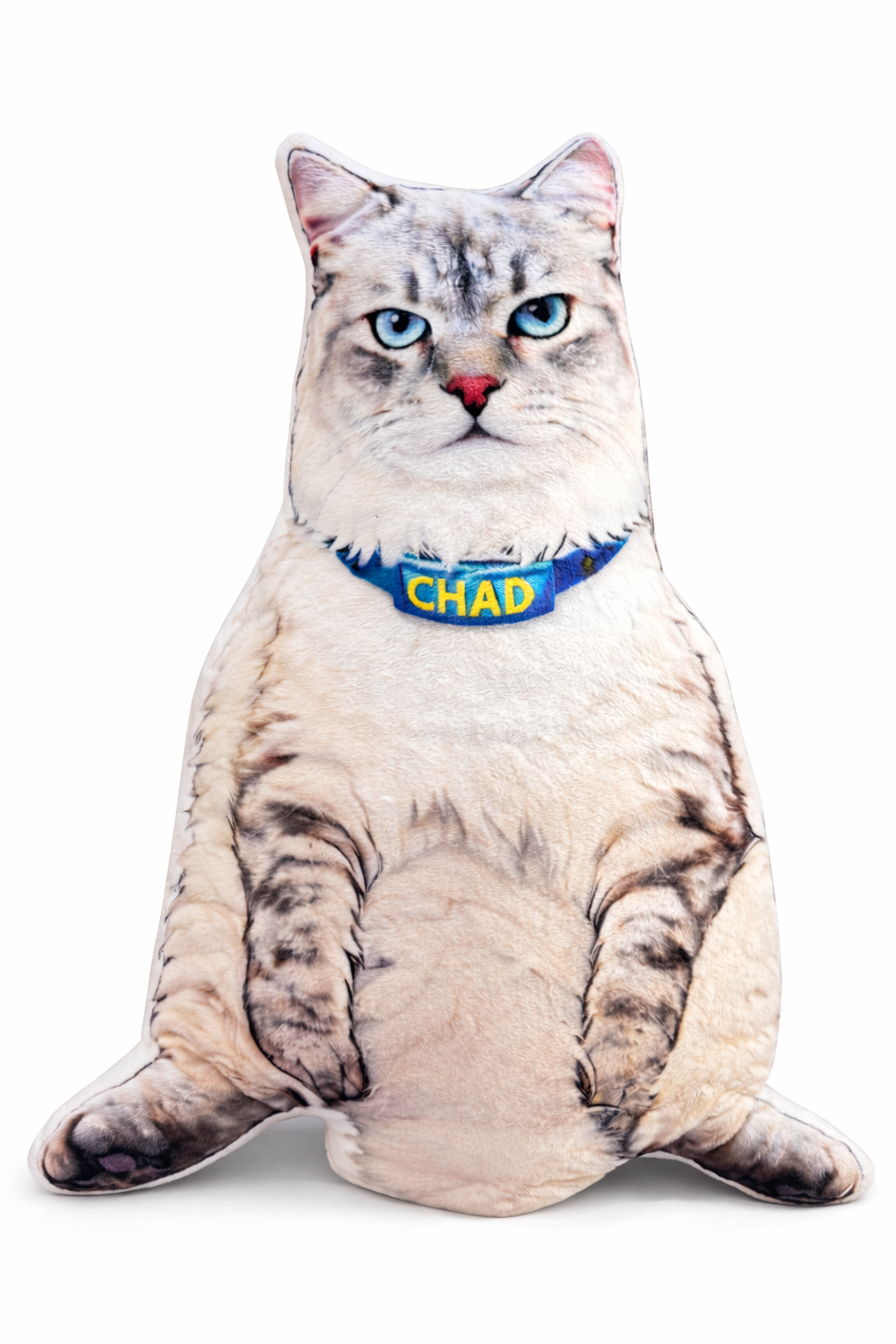 Custom CHAD Cat-Shaped Pillow — Custom Made (Name on Collar)